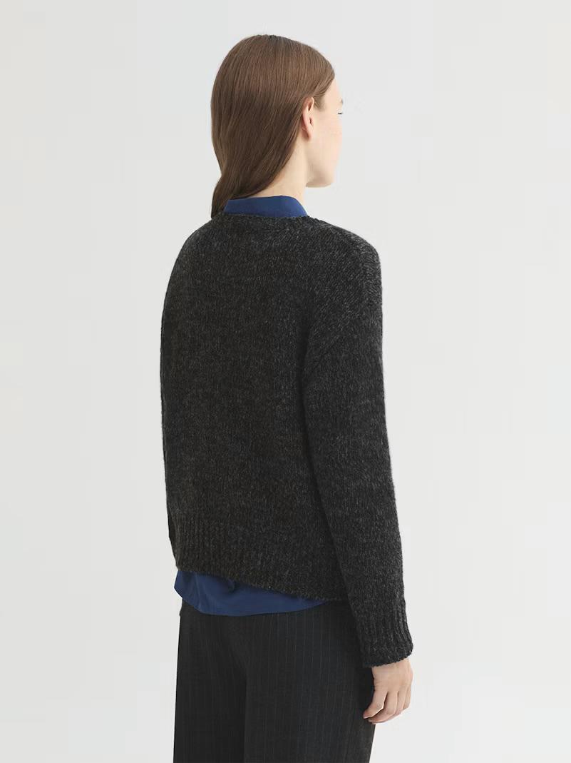 Pull nice things con cane