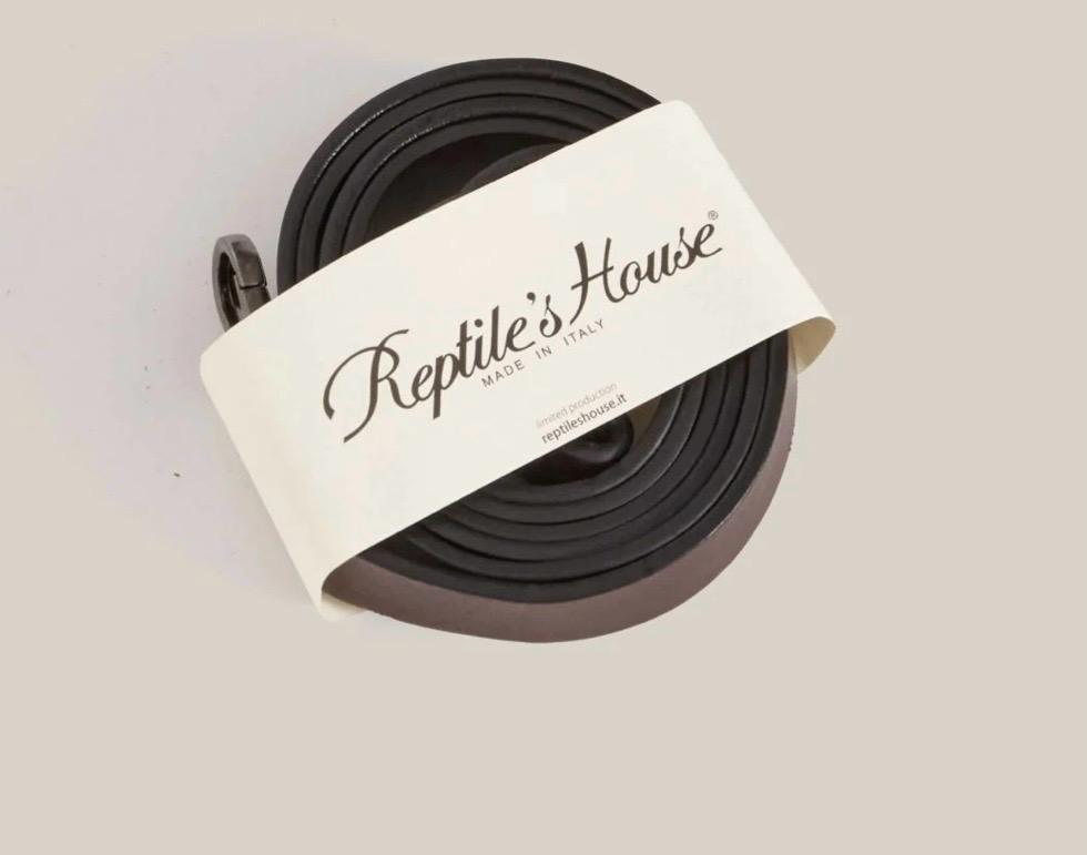 Borsa reptile’shouse