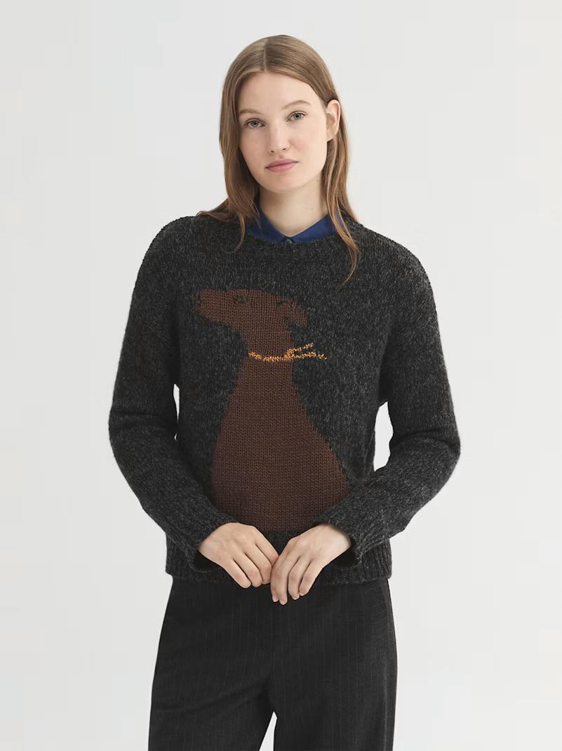 Pull nice things con cane